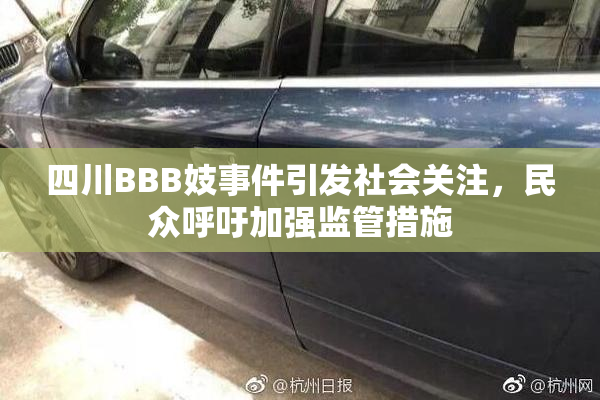 四川BBB妓事件引发社会关注，民众呼吁加强监管措施