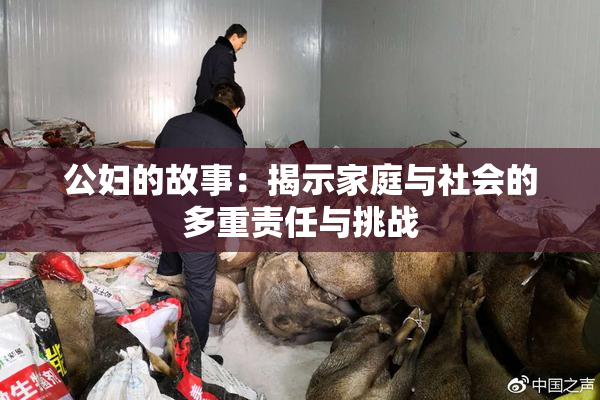公妇的故事：揭示家庭与社会的多重责任与挑战