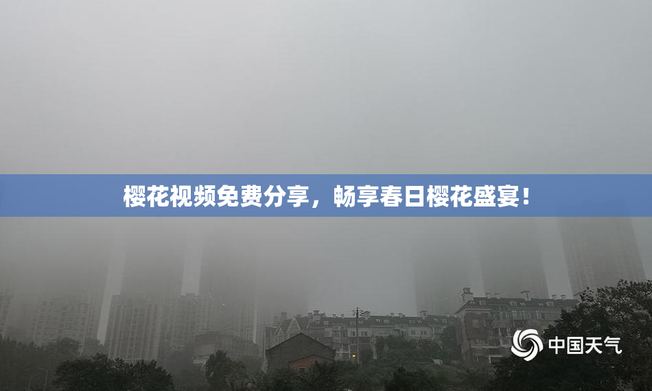 樱花视频免费分享，畅享春日樱花盛宴！