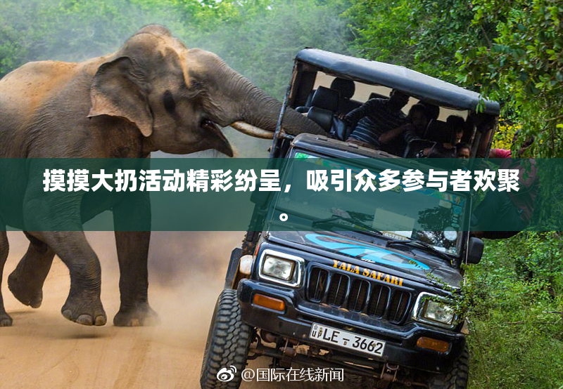 摸摸大扔活动精彩纷呈，吸引众多参与者欢聚。
