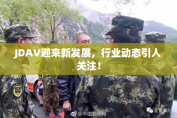 JDAV迎来新发展，行业动态引人关注！