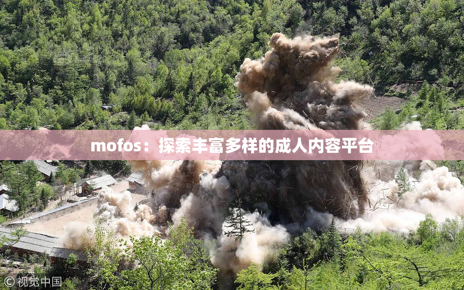 mofos：探索丰富多样的成人内容平台
