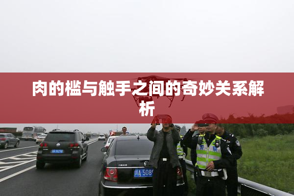 肉的槛与触手之间的奇妙关系解析