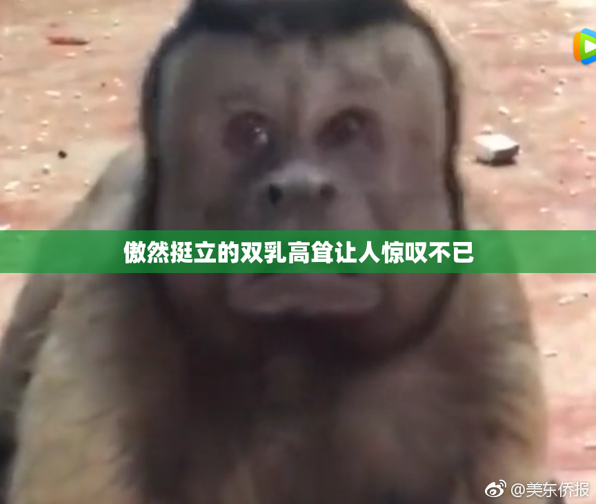 傲然挺立的双乳高耸让人惊叹不已