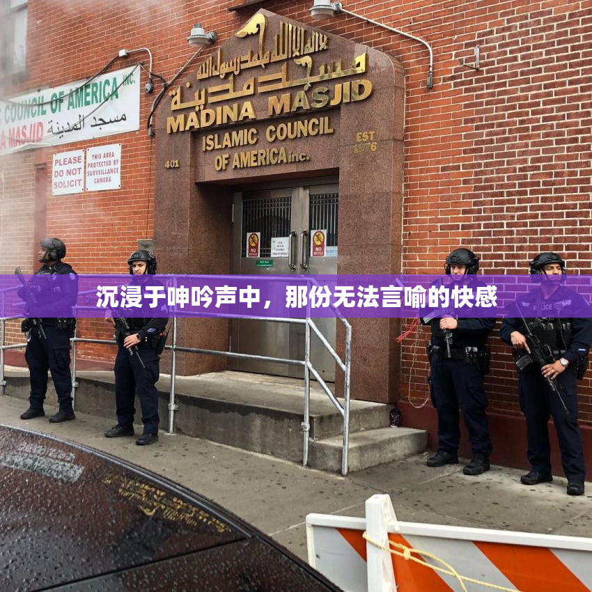 沉浸于呻吟声中，那份无法言喻的快感