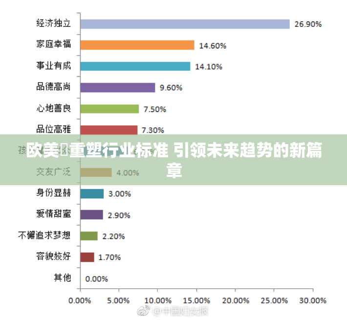 欧美巜重塑行业标准 引领未来趋势的新篇章