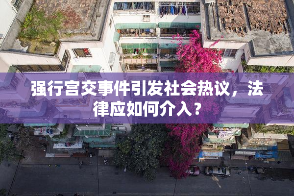 强行宫交事件引发社会热议，法律应如何介入？