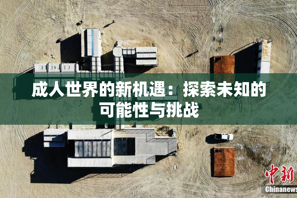 成人世界的新机遇：探索未知的可能性与挑战