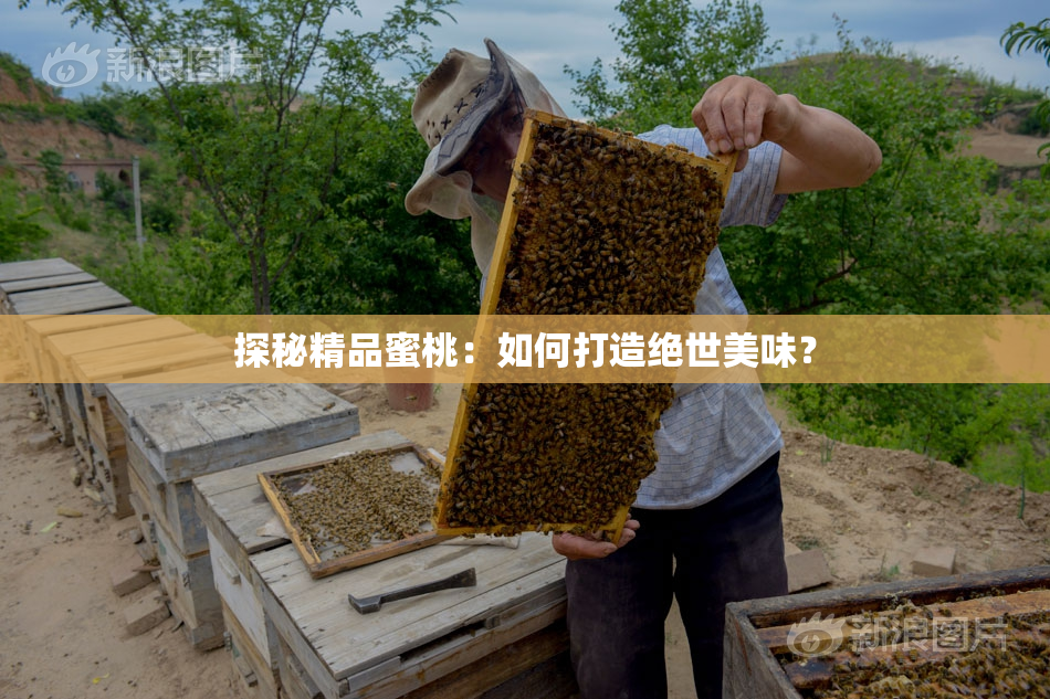 探秘精品蜜桃：如何打造绝世美味？