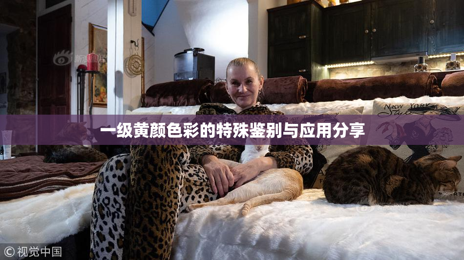 一级黄颜色彩的特殊鉴别与应用分享