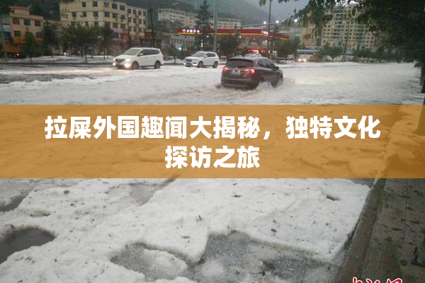 拉屎外国趣闻大揭秘，独特文化探访之旅