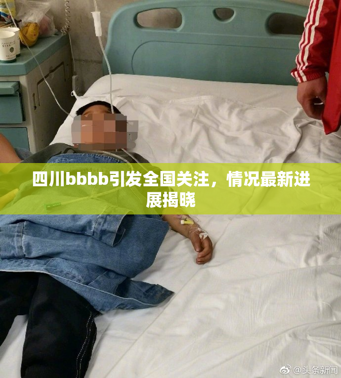 四川bbbb引发全国关注，情况最新进展揭晓