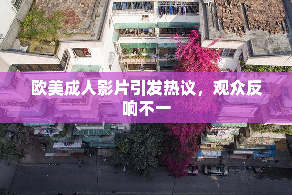 欧美成人影片引发热议，观众反响不一
