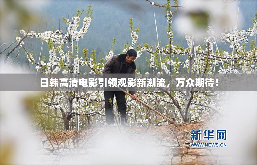 日韩高清电影引领观影新潮流，万众期待！
