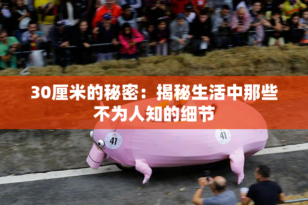 30厘米的秘密：揭秘生活中那些不为人知的细节