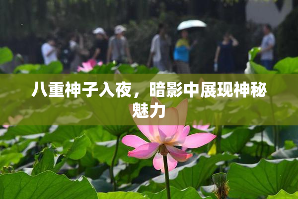 八重神子入夜，暗影中展现神秘魅力