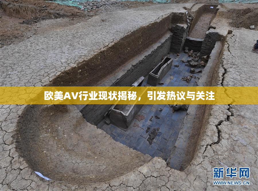 欧美AV行业现状揭秘，引发热议与关注