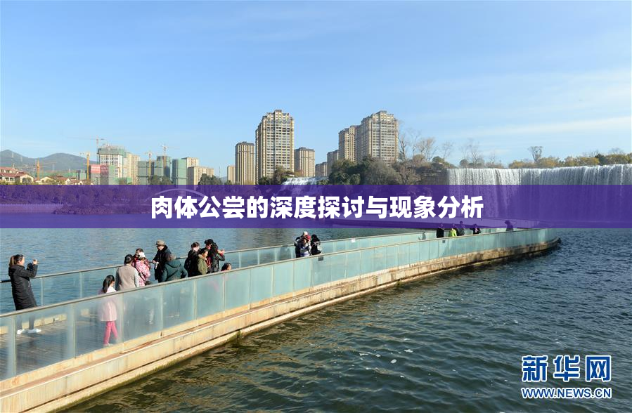 肉体公尝的深度探讨与现象分析