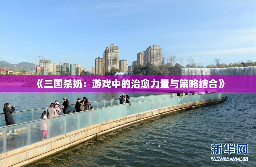 《三国杀奶：游戏中的治愈力量与策略结合》