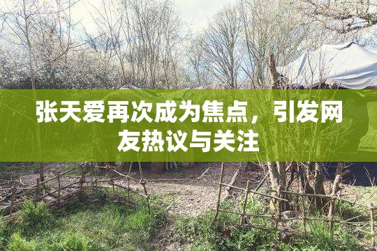 张天爱再次成为焦点，引发网友热议与关注