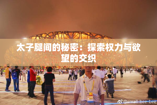 太子腿间的秘密：探索权力与欲望的交织