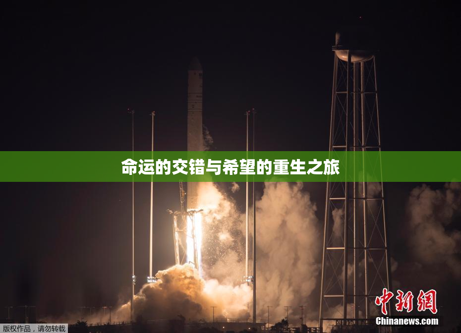 命运的交错与希望的重生之旅