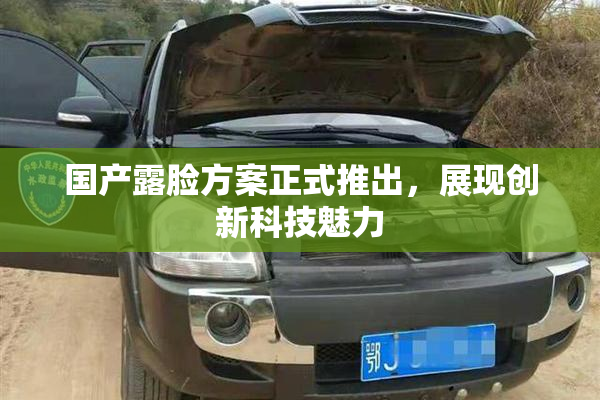 国产露脸方案正式推出，展现创新科技魅力
