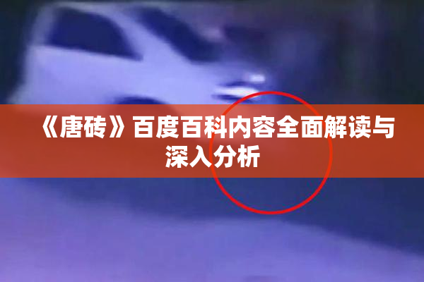 《唐砖》百度百科内容全面解读与深入分析