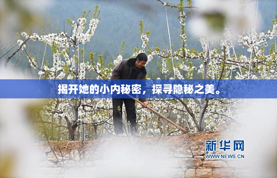 揭开她的小内秘密，探寻隐秘之美。