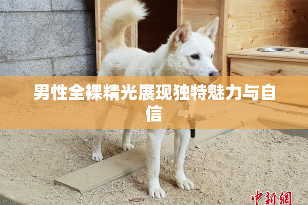 男性全裸精光展现独特魅力与自信