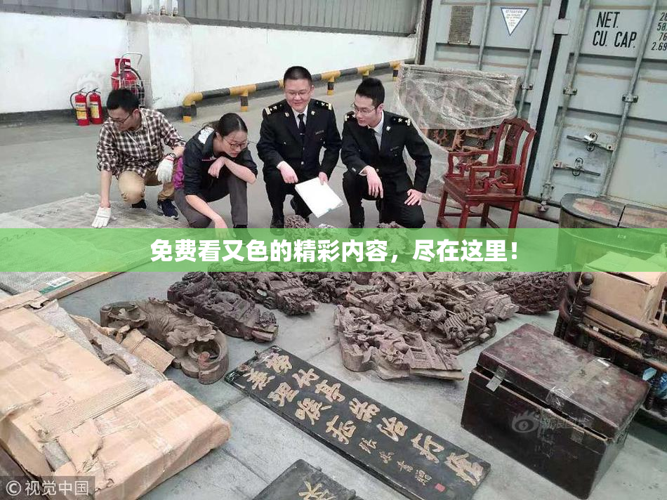 免费看又色的精彩内容，尽在这里！
