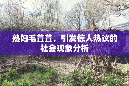 熟妇毛葺葺，引发惊人热议的社会现象分析