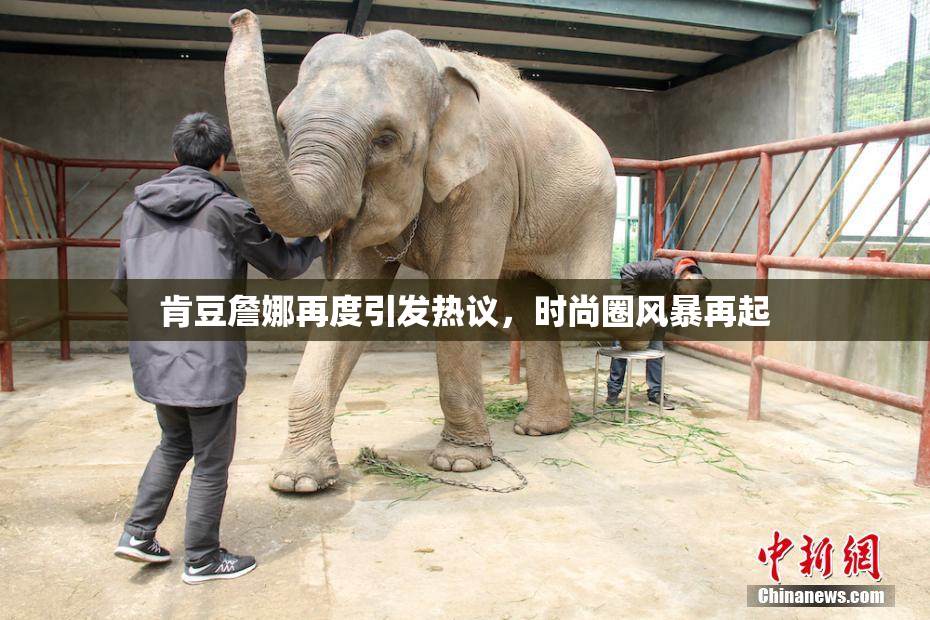 肯豆詹娜再度引发热议，时尚圈风暴再起