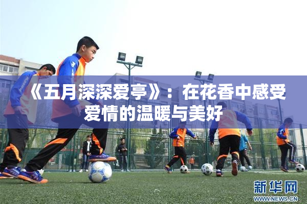 《五月深深爱亭》：在花香中感受爱情的温暖与美好