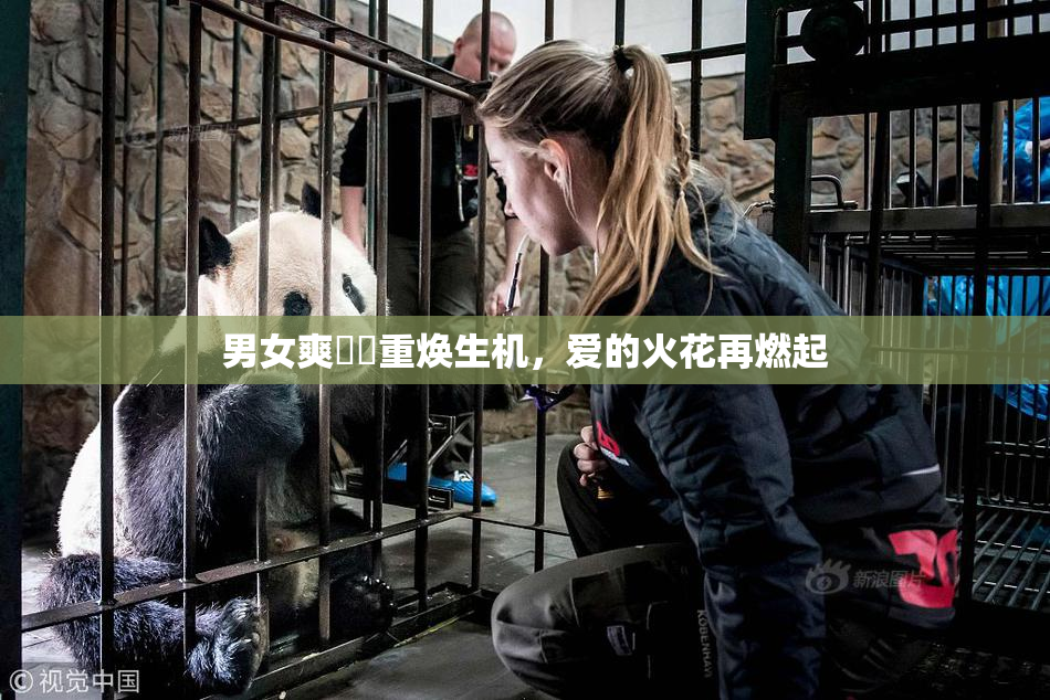 男女爽❌‌重焕生机，爱的火花再燃起