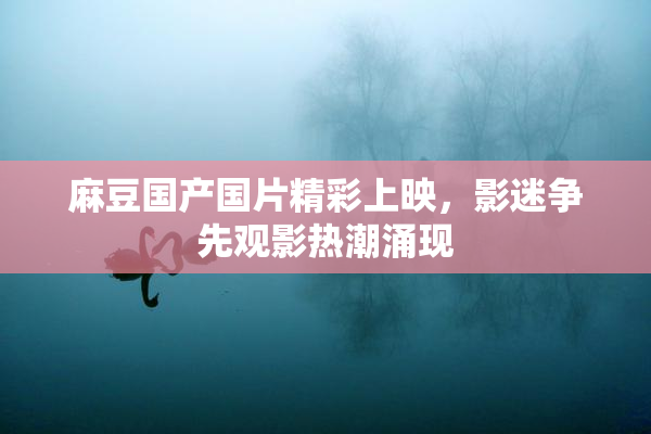 麻豆国产国片精彩上映，影迷争先观影热潮涌现