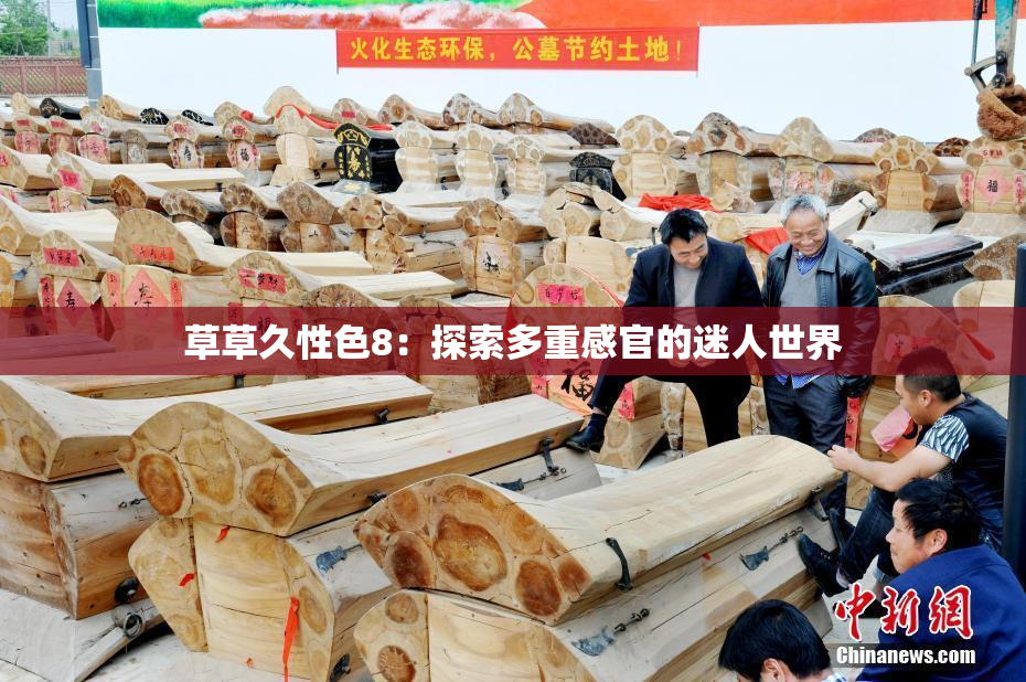 草草久性色8：探索多重感官的迷人世界