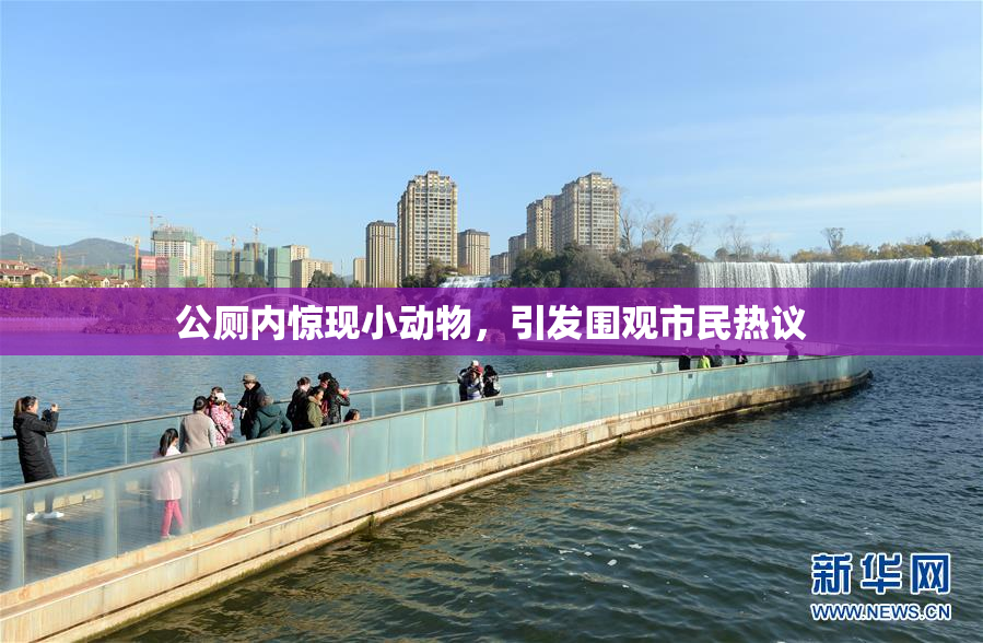 公厕内惊现小动物，引发围观市民热议