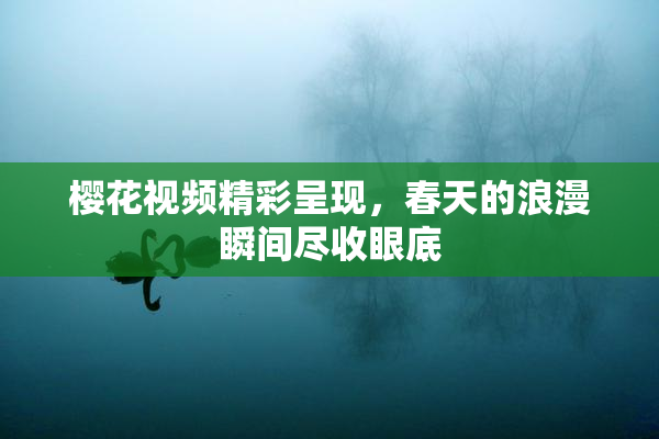 樱花视频精彩呈现，春天的浪漫瞬间尽收眼底