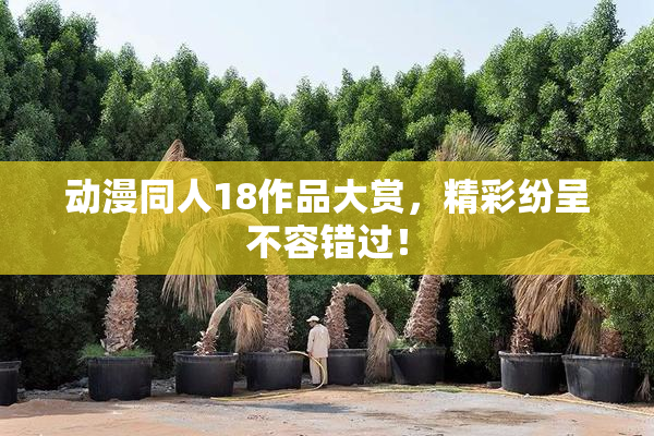 动漫同人18作品大赏，精彩纷呈不容错过！