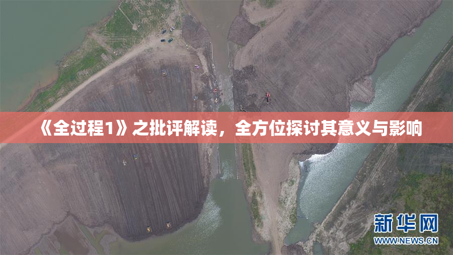 《全过程1》之批评解读，全方位探讨其意义与影响