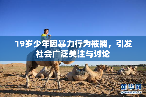 19岁少年因暴力行为被捕，引发社会广泛关注与讨论
