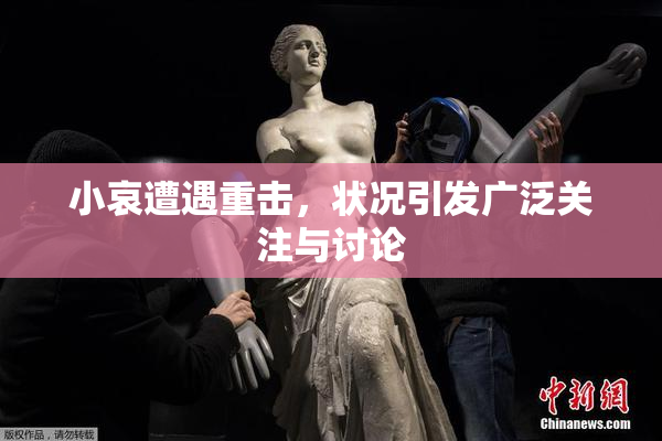 小哀遭遇重击，状况引发广泛关注与讨论