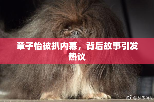 章子怡被扒内幕，背后故事引发热议