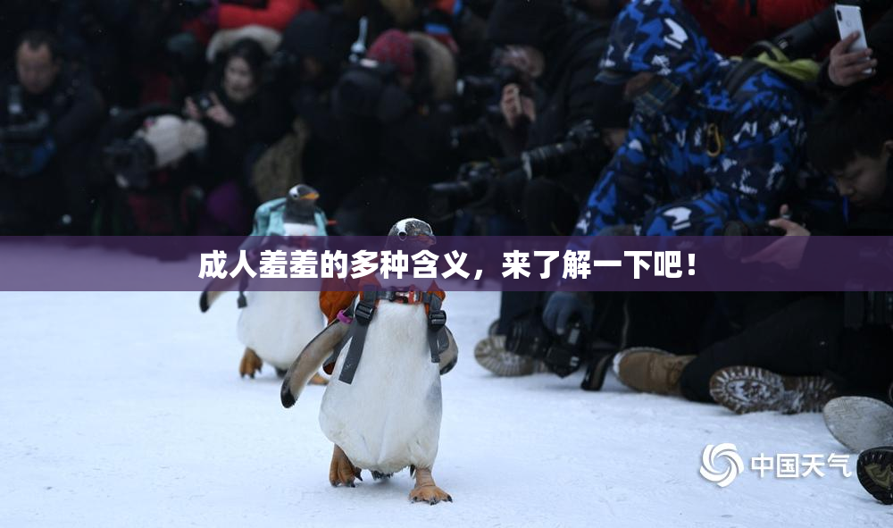成人羞羞的多种含义，来了解一下吧！