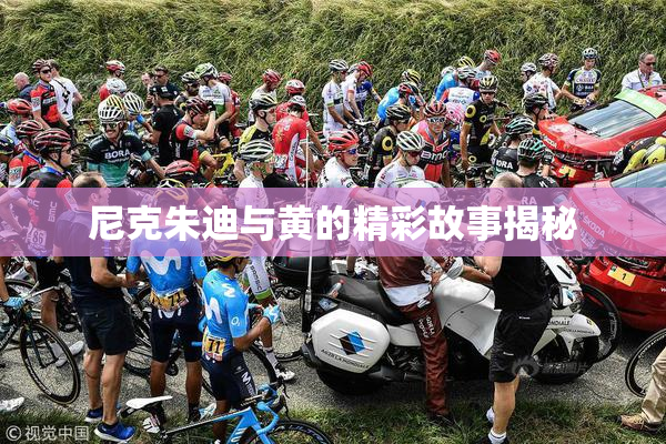 尼克朱迪与黄的精彩故事揭秘