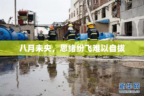 八月未央，思绪纷飞难以自拔