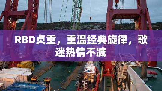 RBD贞重，重温经典旋律，歌迷热情不减