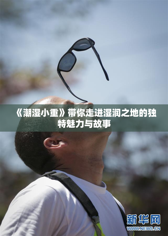 《潮湿小重》带你走进湿润之地的独特魅力与故事