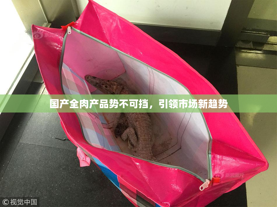 国产全肉产品势不可挡，引领市场新趋势